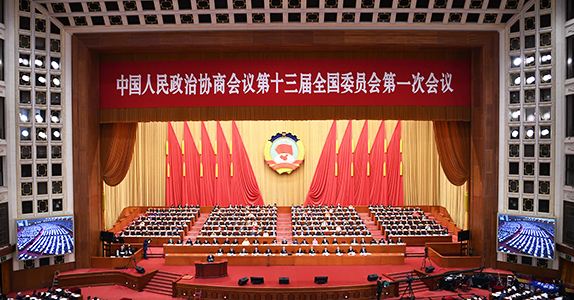 全國政協(xié)委員詹純新：企業(yè)走出去要“做主、做深、做透”