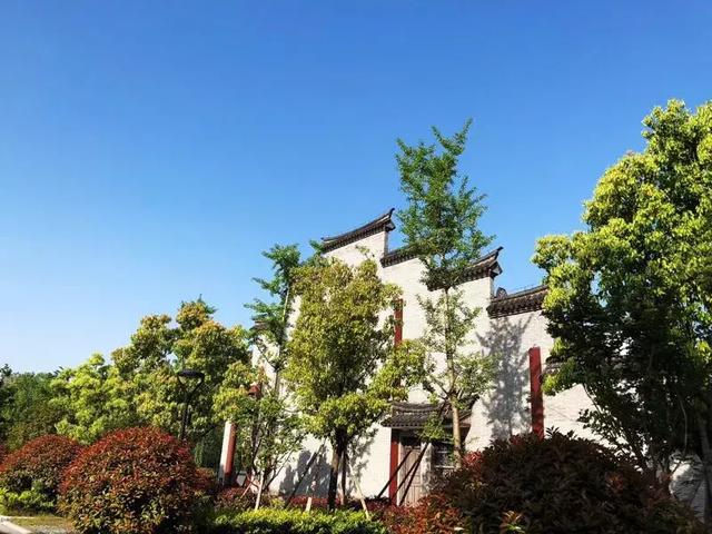 二審期間取得建設(shè)工程規(guī)劃許可證，仍可判施工合同有效！